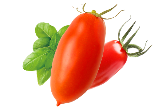 tomates san marzano